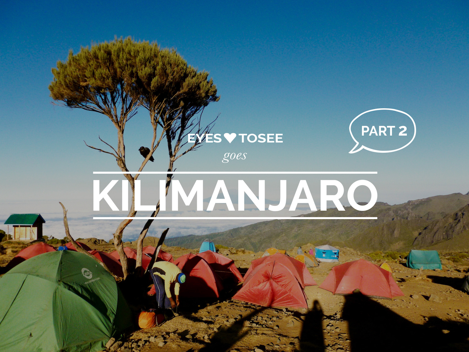 Kilimanjaro Part 2