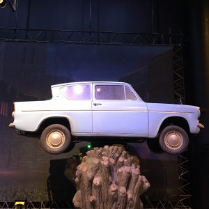 Weasly's fliegendes Auto im Baum gefangen