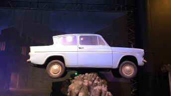 Weasly's fliegendes Auto im Baum gefangen
